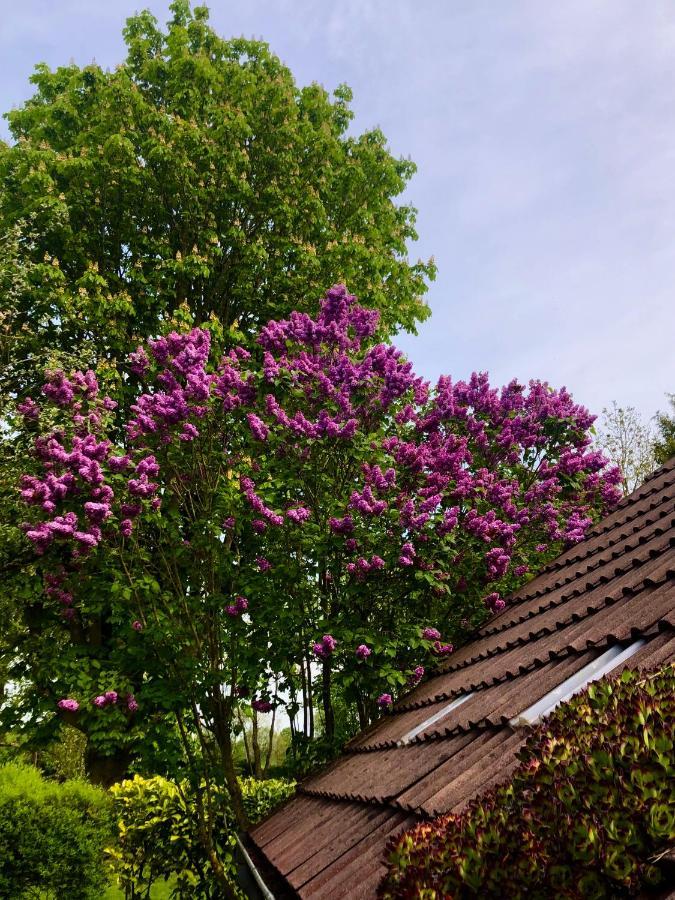 Naturparadies In Aurich  Exterior foto